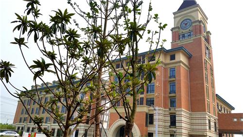合肥七中高新校區(qū)樓宇、道路、景觀等命名名稱(圖7)