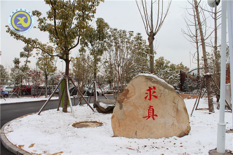 雪園“石頭記”，最美是氣質(zhì)(圖2)