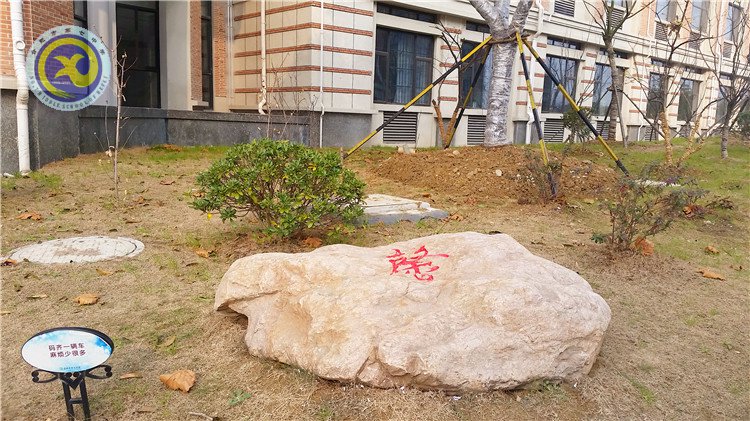 雪園“石頭記”，最美是氣質(zhì)(圖5)