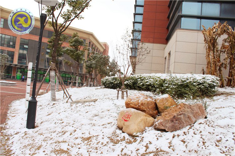 雪園“石頭記”，最美是氣質(zhì)(圖14)