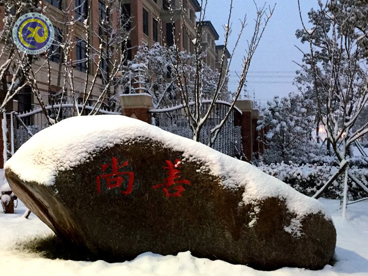 雪園“石頭記”，最美是氣質(zhì)(圖3)