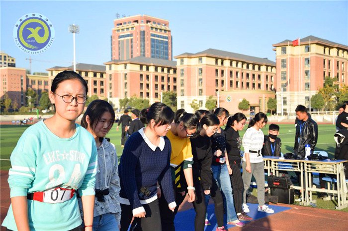 智能化體質(zhì)健康測試  精細化組織管理(圖5)