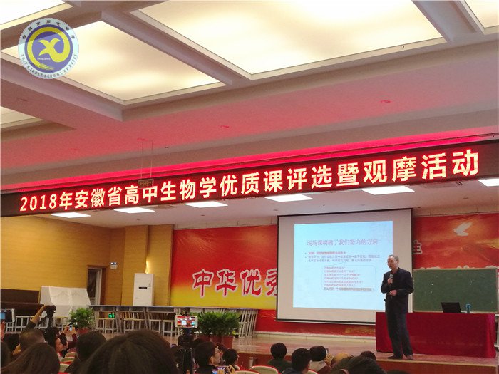 兼收并蓄拓視野，合作教研助成長(圖6)