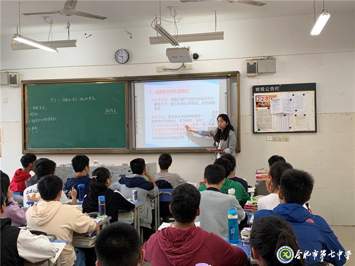 專家視導指方向，共同交流促提高(圖3)
