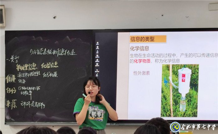 6月22日實習手記： 從稚嫩里蛻變，在實踐中成長(圖11)
