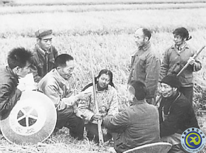 △早期研究階段，袁隆平（左三）在田間為農(nóng)民講課.png